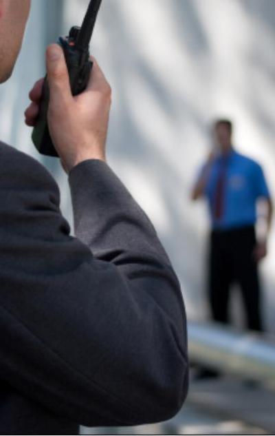 Описание изображения